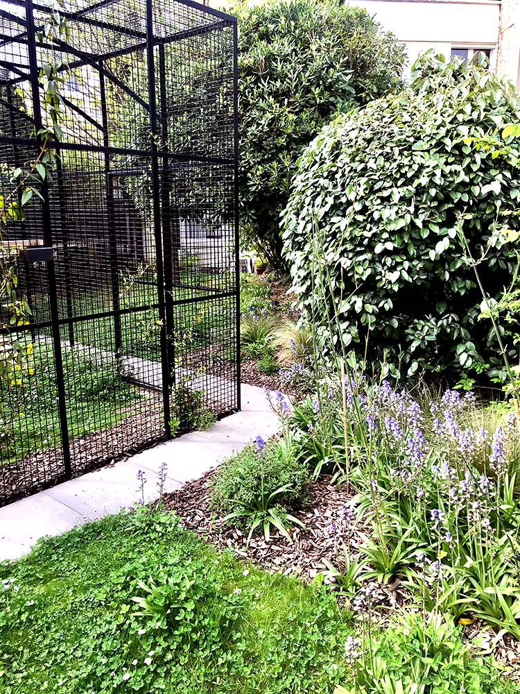 jardin pour chats à Royan