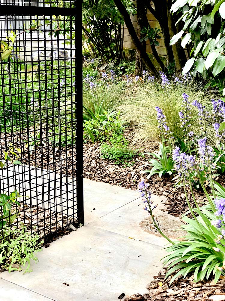 jardin pour chats à Royan