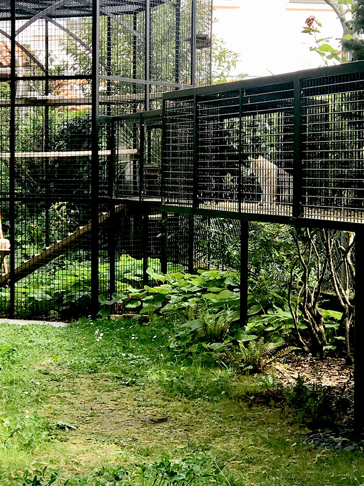 jardin pour chats à Royan