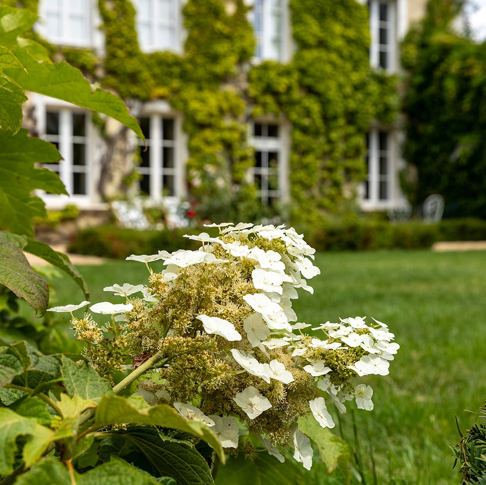 RETROUVER LE TEMPS - Douceur de vivre au cœur du Perche