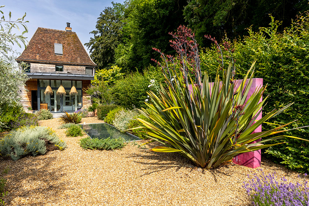 Le phormium trône dans le jardin sec