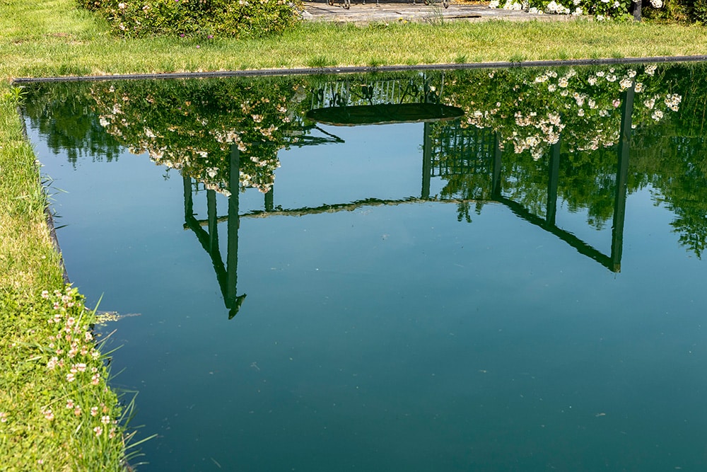 L'eau du miroir reflète la pergola fleurie