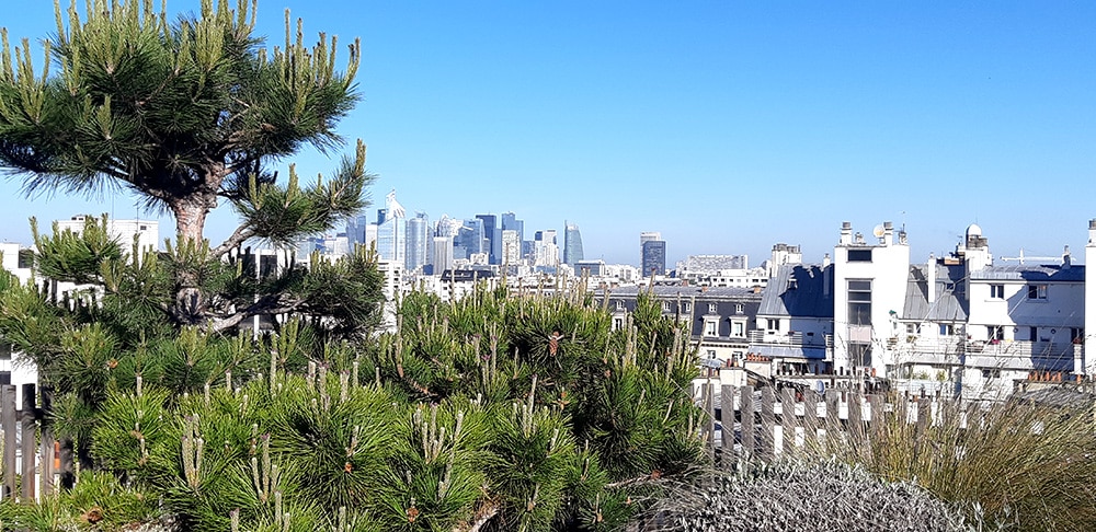 vue sur La Défense