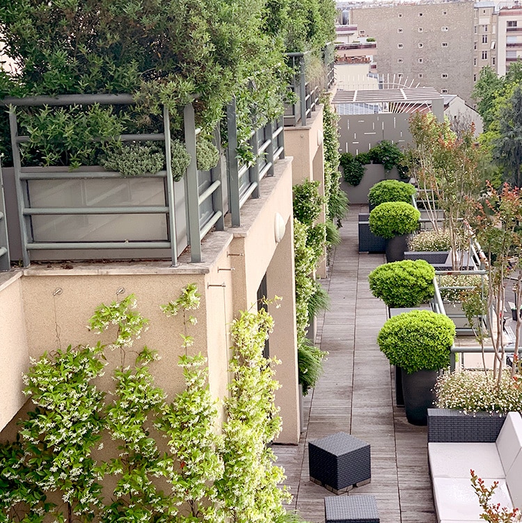 TERRASSE ENTREPRISE PARIS 17 CARREE