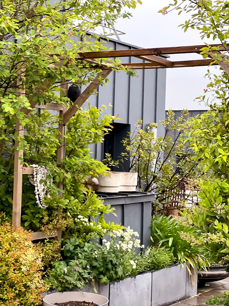 Exubérance végétale - terrasse de 100 m2 avec arche et pergola - Fontenay sous Bois