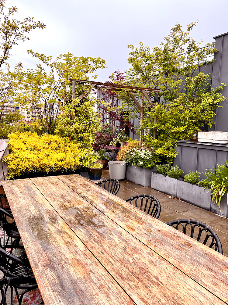 Exubérance végétale - terrasse de 100 m2 avec arche et pergola - Fontenay sous Bois