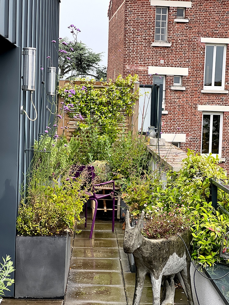 Exubérance végétale - terrasse de 100 m2 avec arche et pergola - Fontenay sous Bois
