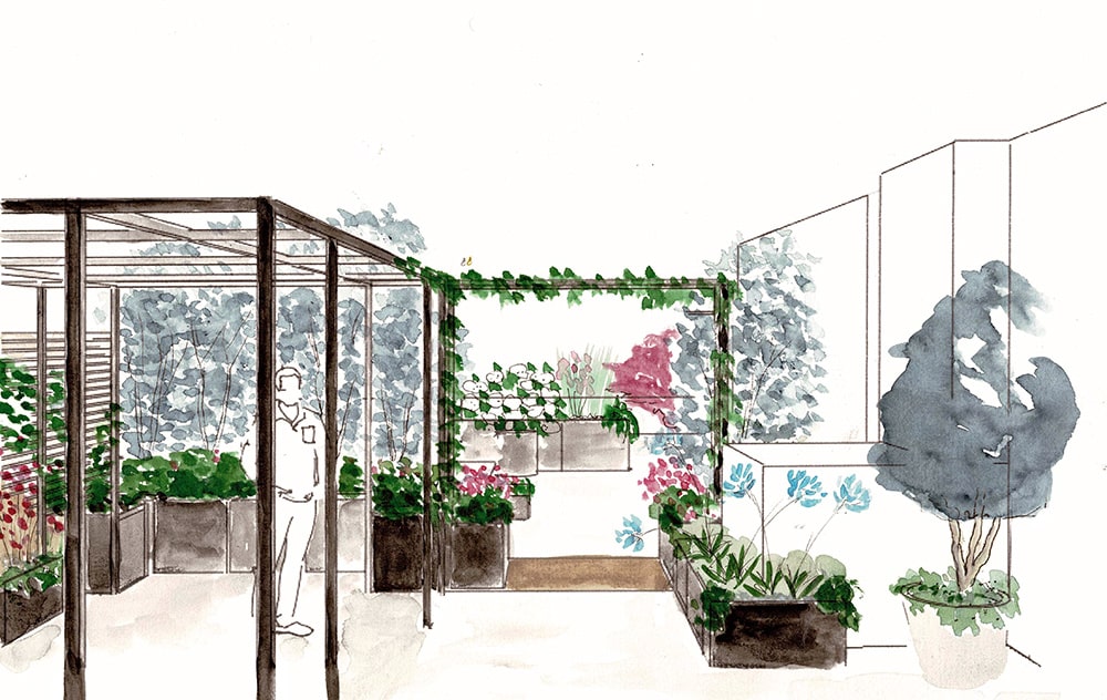 Exubérance végétale - terrasse de 100 m2 avec arche et pergola - Fontenay sous Bois