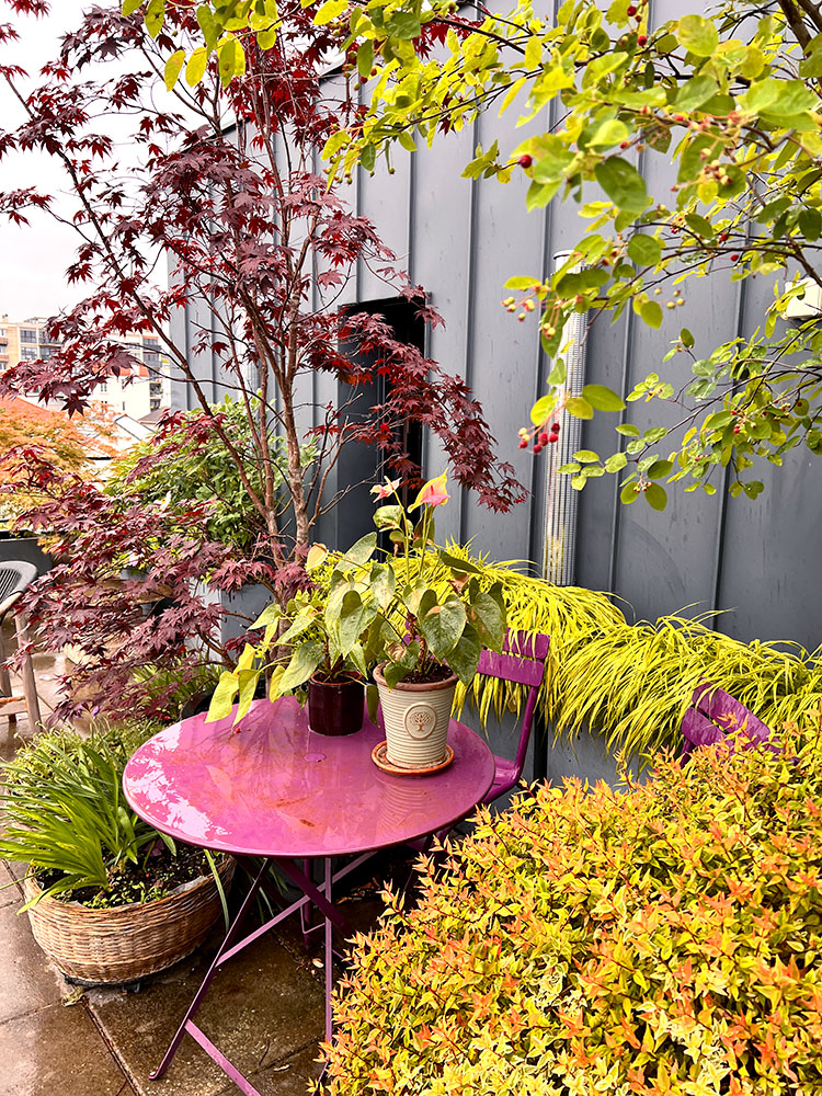 Exubérance végétale - terrasse de 100 m2 avec arche et pergola - Fontenay sous Bois