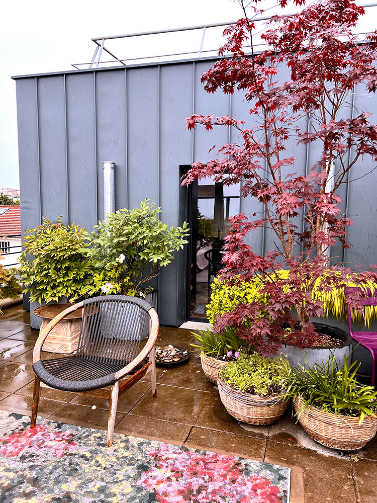 Exubérance végétale - terrasse de 100 m2 avec arche et pergola - Fontenay sous Bois