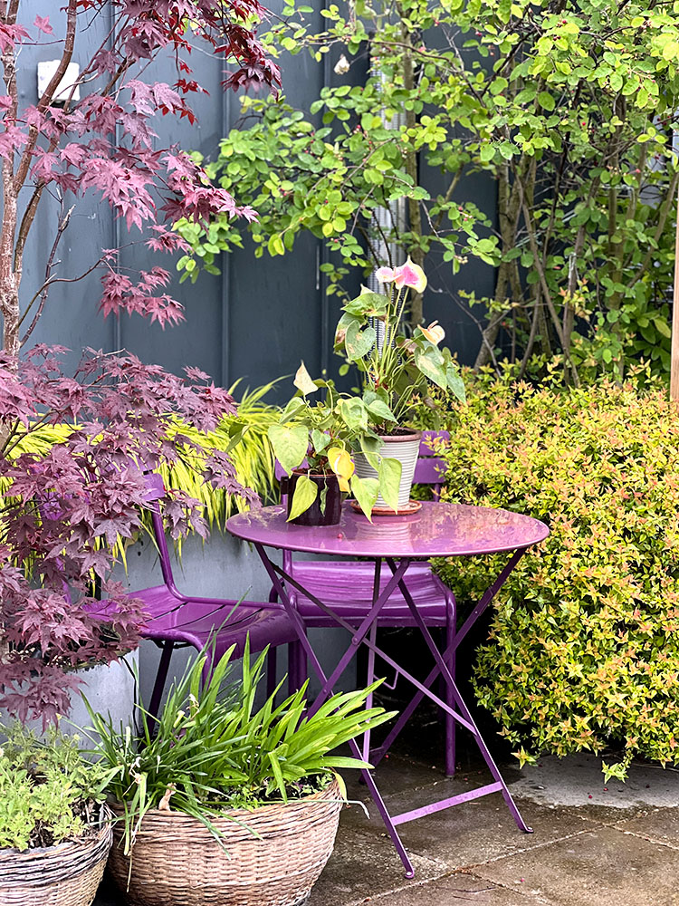 Exubérance végétale - terrasse de 100 m2 avec arche et pergola - Fontenay sous Bois