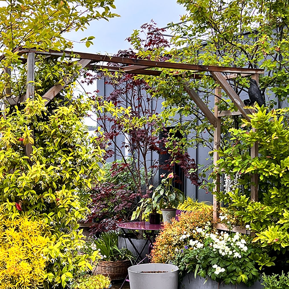 Exubérance végétale - terrasse de 100 m2 avec arche et pergola - Fontenay sous Bois