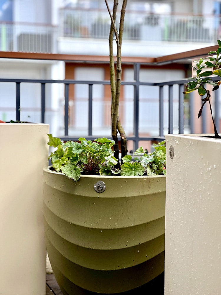 Erell et Rozanne Mini terrasse bacs, plantes et Ollas