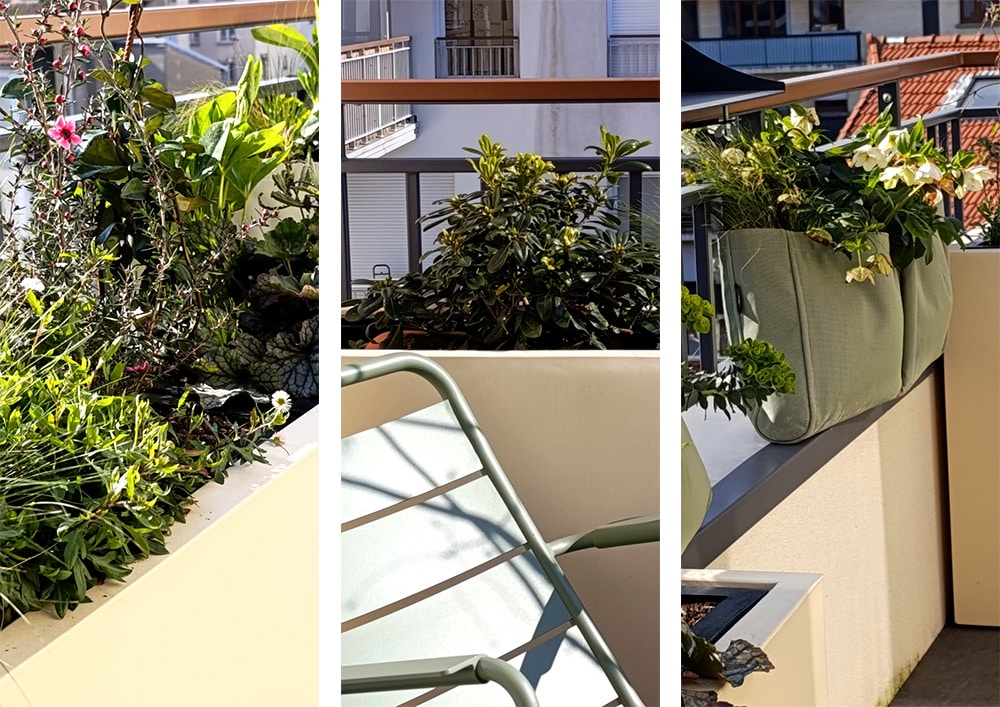Erell et Rozanne Mini terrasse bacs, plantes et Ollas