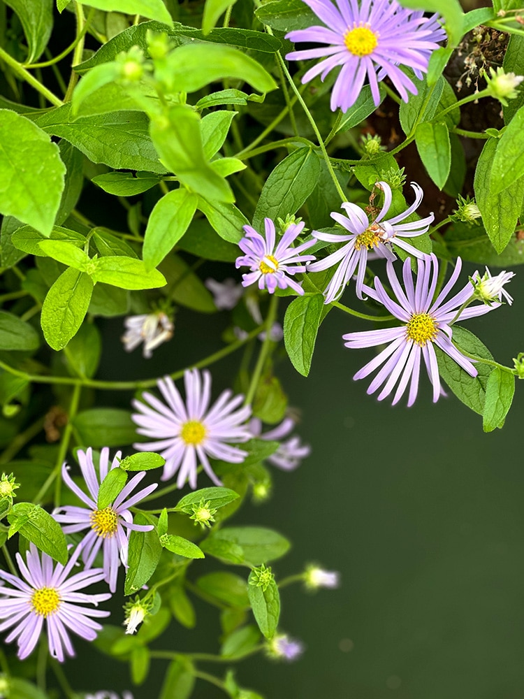 ASter Frikartti Munch sur bacs en métal aluminium sur mesure