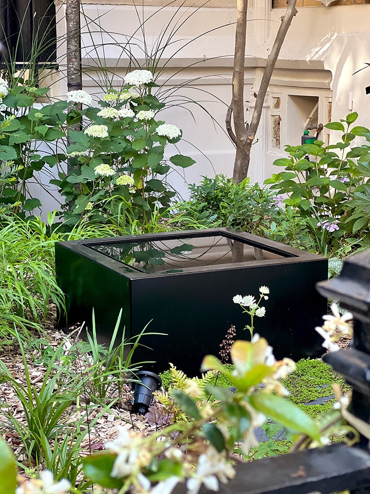 Onde verdoyante : jardin d'accueil en ville. Fontaine, pierres de comblanchien, menuiserie sur mesure, arbres en rideaux.