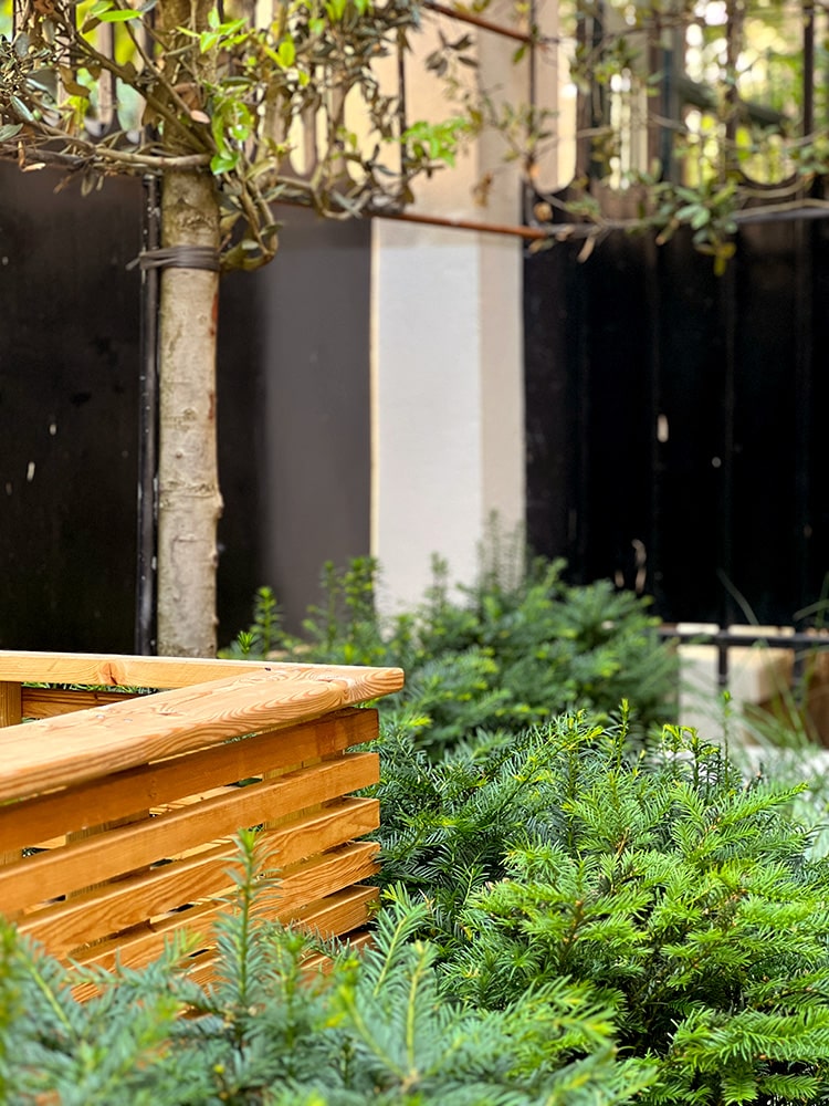 Onde verdoyante : jardin d'accueil en ville. Fontaine, pierres de comblanchien, menuiserie sur mesure, arbres en rideaux.