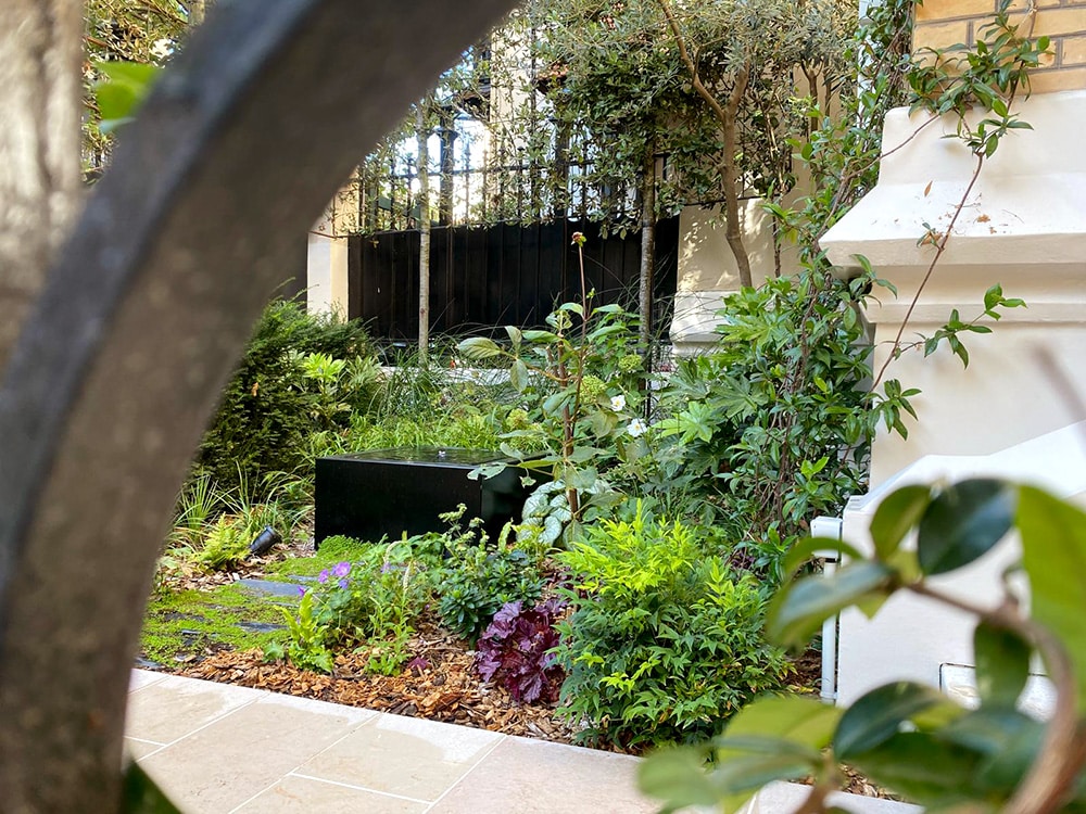 Onde verdoyante : jardin d'accueil en ville.