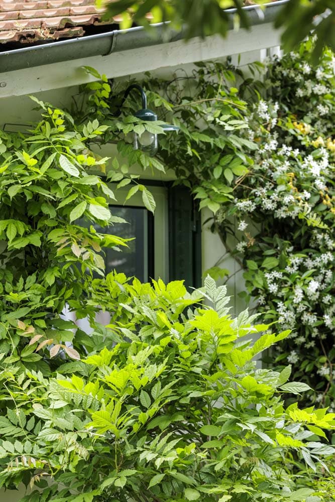 Jardin de ville verdoyant et sols variés