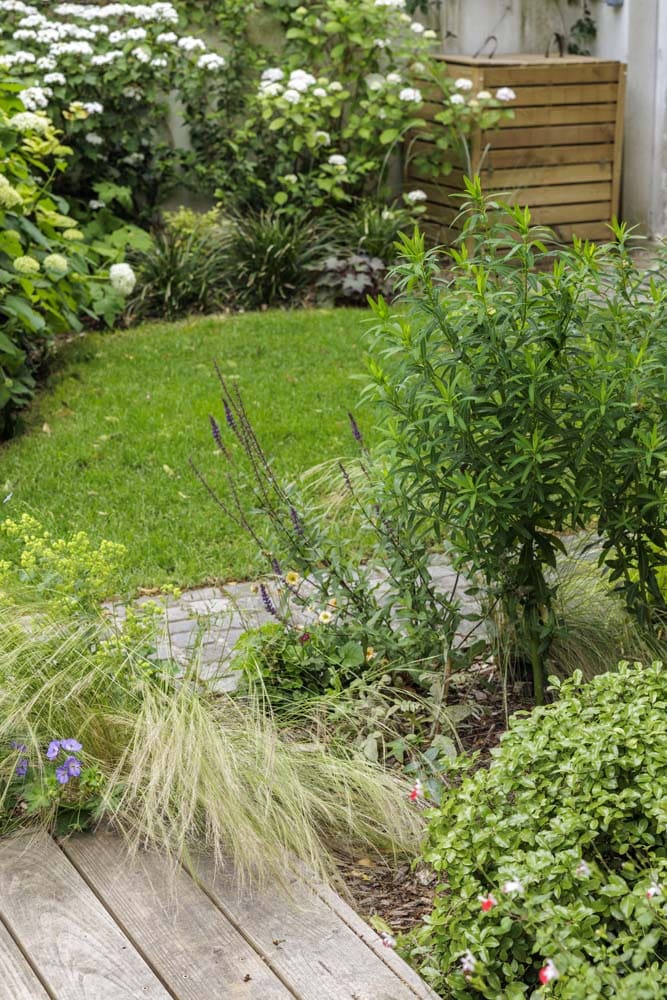Jardin de ville verdoyant et sols variés