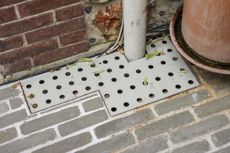 Jardin de ville verdoyant et sols variés