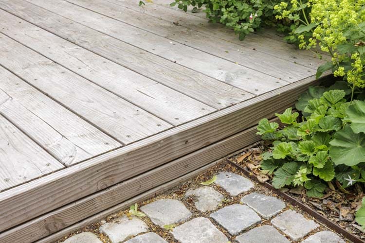 Jardin de ville verdoyant et sols variés