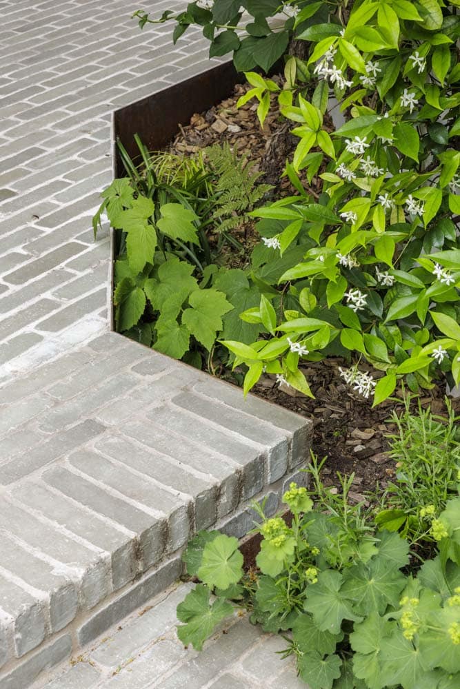 Jardin de ville verdoyant et sols variés