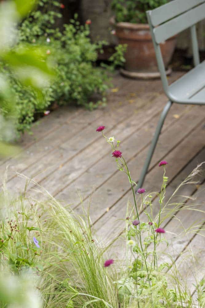 Jardin de ville verdoyant et sols variés